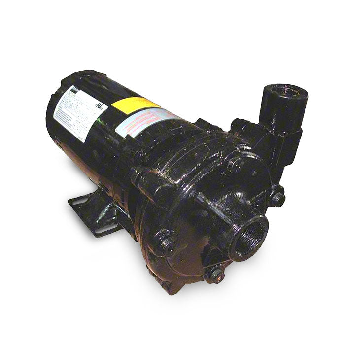 31031.TP100480E IECI Pump