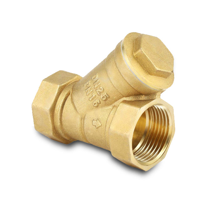 30813.IDGFIL06 IECI Strainer